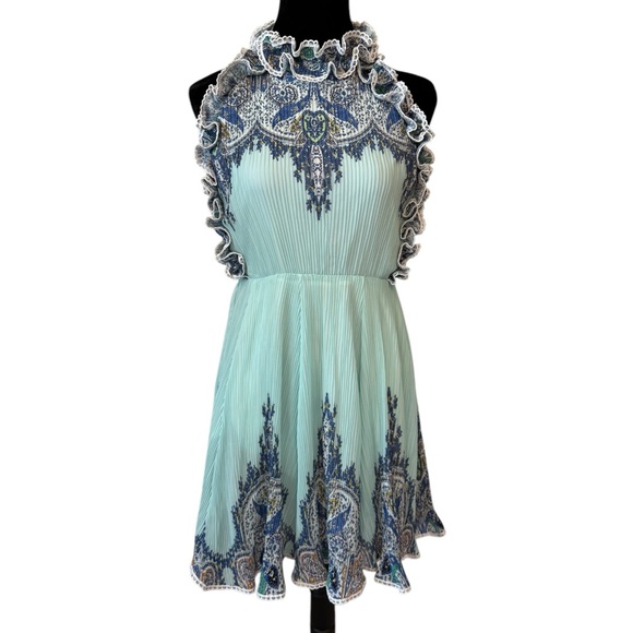 The Arlana Short Pleated Full Dress - Picture 3 of 11